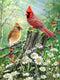 5D Full Drill Cardinals Birds Diamond Painting Kit,UNIME DIY Diamond Rhinestone Painting Kits for Adults and Children Birds and Flowers Diamond Arts Craft, 12 x 16 inch (Cardinals Diamond Painting)