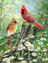 5D Full Drill Cardinals Birds Diamond Painting Kit,UNIME DIY Diamond Rhinestone Painting Kits for Adults and Children Birds and Flowers Diamond Arts Craft, 12 x 16 inch (Cardinals Diamond Painting)