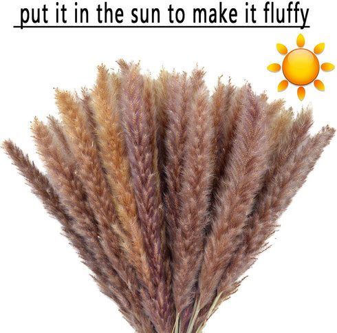 60 Pcs Dried Pampas Grass 18"/45cm Natural Pompous Grass Pompass Branches Plants for Vase Fillers Flower Arrangement Wedding Kitchen Home Décor