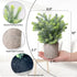 Blingstar Fake Plants 4 Pack Small Artificial Plants Mini Faux Eucalyptus Boxwood Greenery in Pots Little Potted Plant Decor for Bathroom Shelf Home Office Desk Table Centerpiece