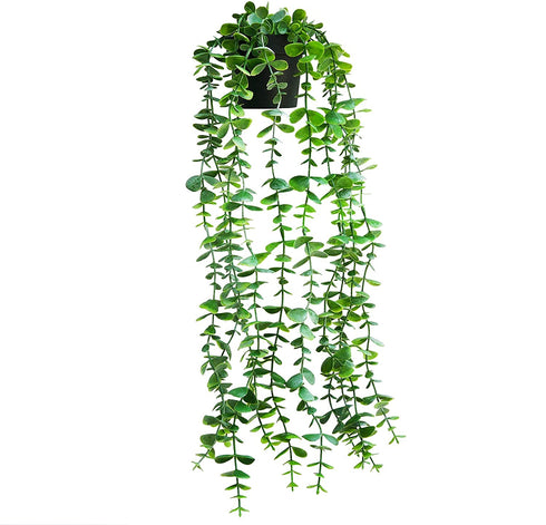Fake Hanging Plant Potted 22" Artificial Plant for Home Bedroom Decor Faux Greenery Decor Vine with Pot for Floating Shelf Decoration
