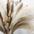 80Pcs Boho Home Decor Dried Flowers Arrangements, Nature Dried Pampas Grass Decor 17.32 Inch Small Pompous Grass Floral Reed Lagurus Ovatus Bunny Tail Grass Bouquet Bulk