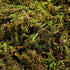 Wakauto 3 Packs Lifelike Artificial Moss Green Faux Lichen Fake Simulation Plants Floral Moss for Garden Lawn Crafts Wedding Decoration