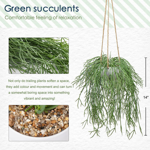 Artificial Hanging Plants Fake Greenery Succulent Potted Plant Ceramic Planter for Home Wall Indoor Outdoor Decor