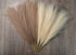 Leerui Faux Pampas Grass, Set of 6 Stems Large Tall 17'' Artificial Fake Flowers,Artificial Pampas Grass Vase-Dried Pampas Grass-Pompous Grass Branches Large