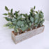 Mixed Eucalyptus Leaves Stems Bulk Faux Seeded Eucalyptus Leaves Sprays Artificial Silver Dollar Eucalyptus Leaves Stems for Floral Wreath Garland Bouquets Arrangement Wedding Greenery Decoration