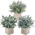 Auelife Artificial Plants 3PCS 9-10IN Mini Potted Plants, Fake Eucalyptus / Glossy Grass / Pale Grass Plants (Square Pot) Faux Lifelike Flower Greenery Decor for Home Office Farmhouse Bathroom