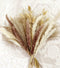 Natural Dried Pampas Grass, 60Pcs Pampas Grass Decor, Pompous Reed Grass Plants Boho Decor Wedding Decorations Boho Pampas Grass Flower Arrangements Home Decor(Oval)