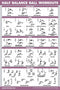 Half Balance Ball Workout Poster - Exercise Chart