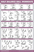 Half Balance Ball Workout Poster - Exercise Chart