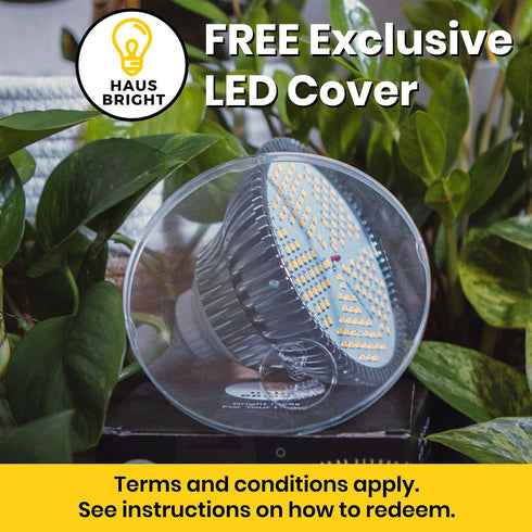 Haus Bright LED Grow Light Bulb - for Indoor Plants Full Spectrum Lamp | Seed Starting, House, Garden, Vegetable, Succulent, Hydroponic, Greenhouse Growing | 100W E27 (Original)