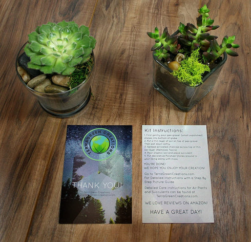 TerraGreen Creations Succulent Planter Kit - Terrarium Kit with Succulent Soil, Gravel, Pebble, Moss, Horticulture Charcoal, Terrarium Supplies For Fairy Gardens, or Cactus - Create Your Own Terrarium