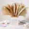 Mckanti Dried Pampas Grass, 80 Pcs Natural Pampas Grass, with 6 Colors DIY 17.7" Pampas Grass Dried Flowers, Boho Home Wedding Party Decor.