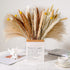 Mckanti Dried Pampas Grass, 80 Pcs Natural Pampas Grass, with 6 Colors DIY 17.7" Pampas Grass Dried Flowers, Boho Home Wedding Party Decor.