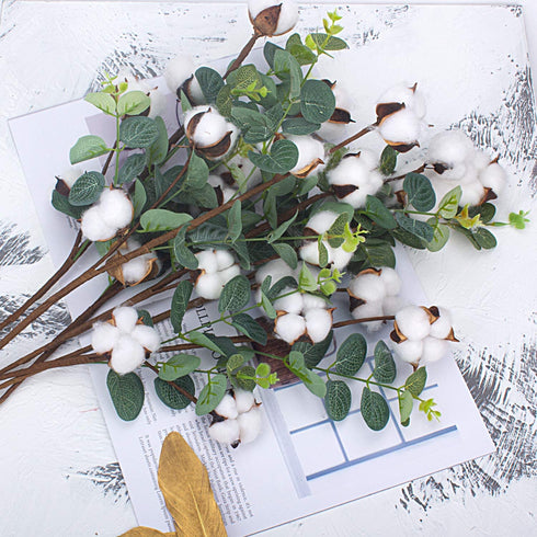 6pcs 23.5" Cotton Stems 4 Cotton Heads with Eucalyptus Leaves for Home Farmhouse Style Floral Decoration