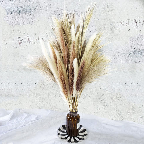 60 Pcs | 15 Pcs White Pampas & 15 Pcs Brown Pampas & 30 Pcs Reed Grass/Natural Dried Pampas Grass for Flower Arrangements Home Decor
