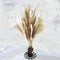 60 Pcs | 15 Pcs White Pampas & 15 Pcs Brown Pampas & 30 Pcs Reed Grass/Natural Dried Pampas Grass for Flower Arrangements Home Decor