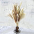 60 Pcs | 15 Pcs White Pampas & 15 Pcs Brown Pampas & 30 Pcs Reed Grass/Natural Dried Pampas Grass for Flower Arrangements Home Decor