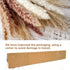 60 Pcs | 15 Pcs White Pampas & 15 Pcs Brown Pampas & 30 Pcs Reed Grass/Natural Dried Pampas Grass for Flower Arrangements Home Decor