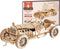 ROKR 3D Wooden Puzzle for Adults-Mechanical Car Model Kits-Brain Teaser Puzzles-Vehicle Building Kits-Unique Gift for Kids on Birthday/Christmas Day(1:16 Scale)(MC401-Grand Prix Car)