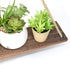 Boho Wall Hanging Shelf - Wood Hanging Shelves for Wall - Farmhouse Rope Shelves for Bedroom Living Room Bathroom - Rustic Wood Shelves - Hanging Plant Shelf - Triangle Floating Shelf (Triangle Mount)