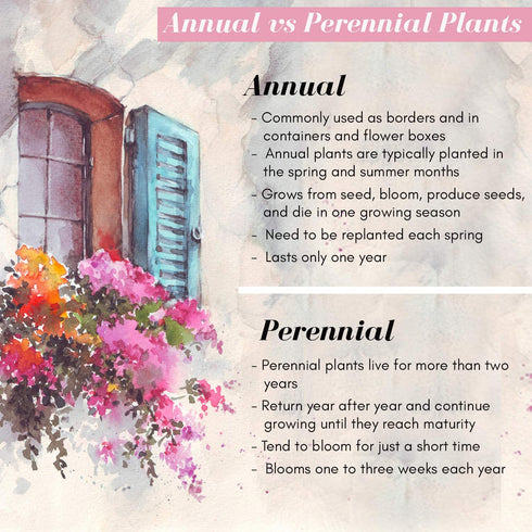 112,000+ Wildflower Seeds: Bulk Mix of 21 Varieties, Non-GMO Wild Flower Seed | Bee and Butterfly Garden Variety Pack | Annual Flowers Seeds for Planting | Native Wildflower Plants for Your Garden