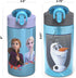 Zak Designs Disney Frozen 2 Kids Water Bottle Set with Reusable Straws and Built in Carrying Loops, Made of Durable Stainless Steel & Plastic, Leak-Proof Bottle Design (Elsa/Anna, BPA-Free, 2pc Set)