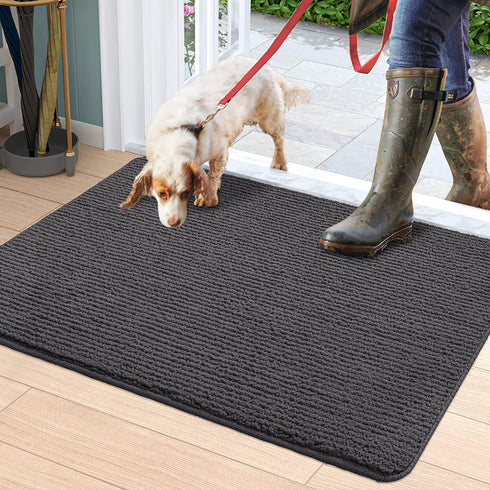 DEXI Door Mat Indoor Rug Inside Front Entrance Non-Slip Low Profile Washable for Entryway 19.5"x31.5",Dark Gray