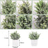 Der Rose 6 Packs Fake Plants Small Artificial Plants for Modern Farmhouse Decor