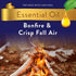 Air Wick Plug in Scented Oil 5 Refills, Bonfire and Crisp Fall Air, Essential Oils, Air Freshener