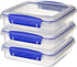Sistema KLIP IT Collection Sandwich Box 1.9 Cup Compact Food Storage Container, 3 Pack, Clear/Blue & Lunch Collection Food Storage Containers, 1.6 Cup, 3 Pack, Blue/Green/Pink | Great for Meal Prep