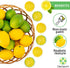 Fake Lemons Limes and Slices Set - 36 Kit Decoration Faux Citrus Fake Fruit - Artificial Lemons Fruit Decorations for Kitchen Home Office Weddings Table Centerpiece Party Tree Lemon Decor for Kitchen