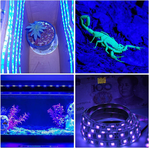 UV Light Strip - iCreating Battery Operated LED Black Light Strip Kit with 6.6FT 2M SMD 3528 IP65 Waterproof Super Bright LED Strip Lights, Battery Case
