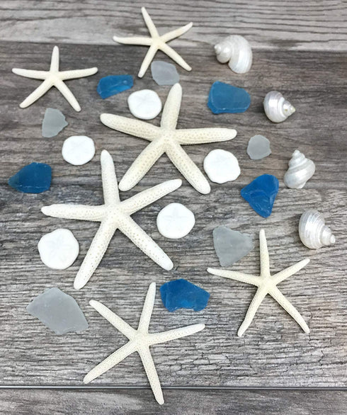 Nautical Assortment 25 Pieces | White Finger Starfish | Sea Biscuit | Aqua Blue Sea Glass | Clear Sea Glass | Pearlized Turbo Shells | Shells for Crafts | Plus Free Nautical Ebook by Joseph Rains