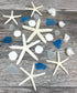 Nautical Assortment 25 Pieces | White Finger Starfish | Sea Biscuit | Aqua Blue Sea Glass | Clear Sea Glass | Pearlized Turbo Shells | Shells for Crafts | Plus Free Nautical Ebook by Joseph Rains
