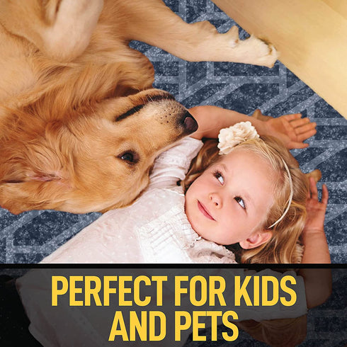 Grip Master 2X Extra Thick Area Rug Pad Grippers, 2 x 3 Feet, Cushioned for Hard Surface Floors, Maximum Gripper and Cushion for Under Rugs, Protection Pads for Hardwood Floor, Under Carpet Mats