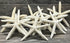 Starfish Decor - 10 White Finger Star Fish 6-8 Inch - Starfish for Crafts - White Starfish Wall Décor - Beach Wedding Starfish - Beach Starfish Décor - Star Fish Decorations