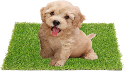 QYH Artificial Grass Doormat Indoor Outdoor Green Lawn Rug Pet Turf for Dogs Pee Pad Synthetic Grass Door Mat Fake Grass for Entrance Way (16" x 24")