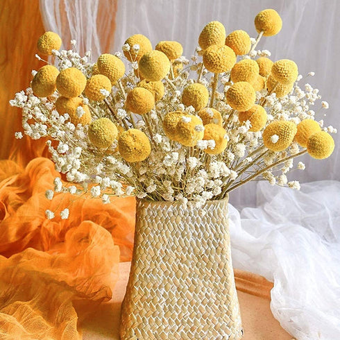 Uieke 30Pcs Natural Dried Flowers Craspedia Billy Balls Flowers Billy Buttons Floral Bouquet for Flower Arrangements Wedding Home Tall Vase Decor Yellow