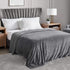 Hansleep Flannel Fleece Throw Blanket Twin Size, Super Soft Fluffy Bed Plush Blanket Throw, Luxury Fuzzy Cozy Couch Blanket for All Seasons (Grey, Twin 60x80)