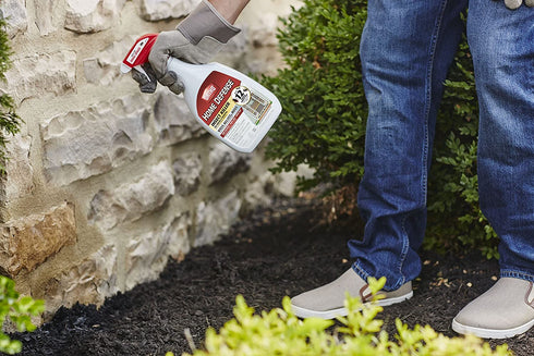 Ortho 0221310 Home Defense Insect Killer for Indoor & Perimeter 2 Ready-to-Use, 24 oz