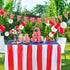14 Pieces Carnival Red White Striped Table Skirt Carnival Tablecloth Circus Theme Table Cover 3 Tier Cupcake Foam Stand Popcorn Box for Mardi Cras Home Party Decorations Supplies