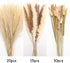 Pampas Grass Dried Pampas for Home Kitchen Decor, 17inch Natural Dried Pampas Grasss Decor Small Fluffy Pampas Bouquet Reed Grass Plant Boho Room Decor for Flower Arrangement (65Pcs)