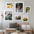 upsimples 8x8 Picture Frame Set of 3,Display Pictures 5x5 with Mat or 8x8 Without Mat,Multi Photo Frames Collage for Wall,White
