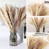 70Pcs Boho Pampas Grass Large,Fluffy Artificial Pampas Grass Decor Tall,Non Shedding Natural Dried Pompass Grass Branches,Pampas Plants for Flower Arrangements Wedding Home Decor