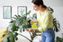American Plant Exchange Split Leaf Philodendron Monstera Deliciosa Live Plant, 3 Gallon, Green