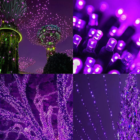 QINOL 2-Pack 200LED 72FT Solar Christmas Decorations Lights Green Wire String Mini Lights Outdoor, Waterproof 8 Modes Decorative Twinkle Lights for Xmas Tree (Purple)
