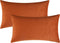 Mixhug Set of 2 Cozy Velvet Rectangle Decorative Lumbar Throw Pillow Covers for Couch and Bed, Burnt Orange, 12 x 20 Inches