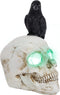 DR.DUDU Raven on Skull Halloween Decoration with LED Lights, Gothic Crow Perching on Skeleton Resin Figurine Haunted House Statue for Tabletop Desk Home Office Decor
