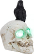 DR.DUDU Raven on Skull Halloween Decoration with LED Lights, Gothic Crow Perching on Skeleton Resin Figurine Haunted House Statue for Tabletop Desk Home Office Decor